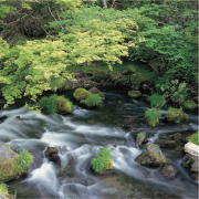 雄大な阿蘇山の自然が育んだ天然水